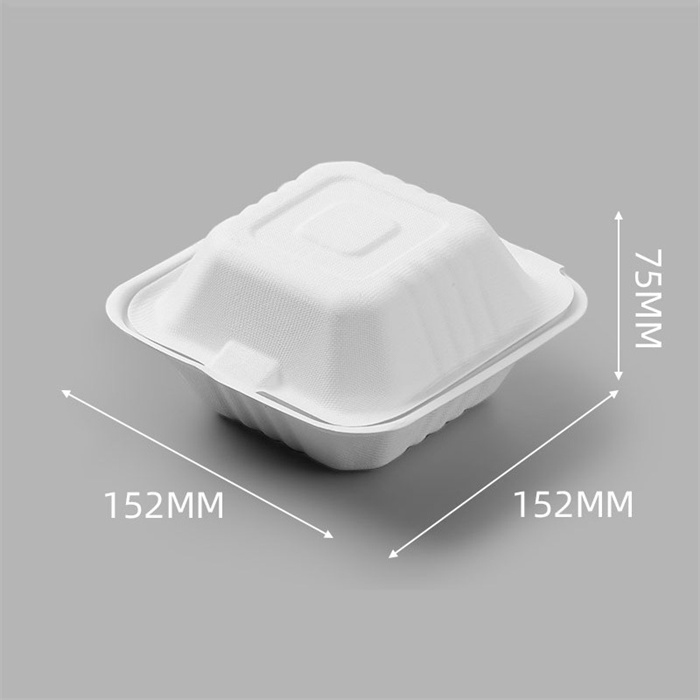  Sugarcane bagasse Food container from Disposables Inc. The best import service in China. Import your disposable items from us.